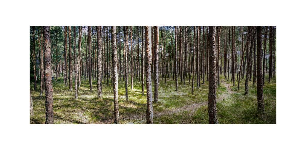 Forest Cottage 네링가 외부 사진